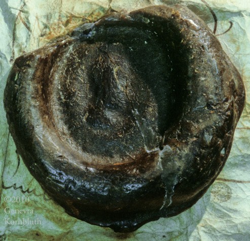 Louis II the Stammerer seal