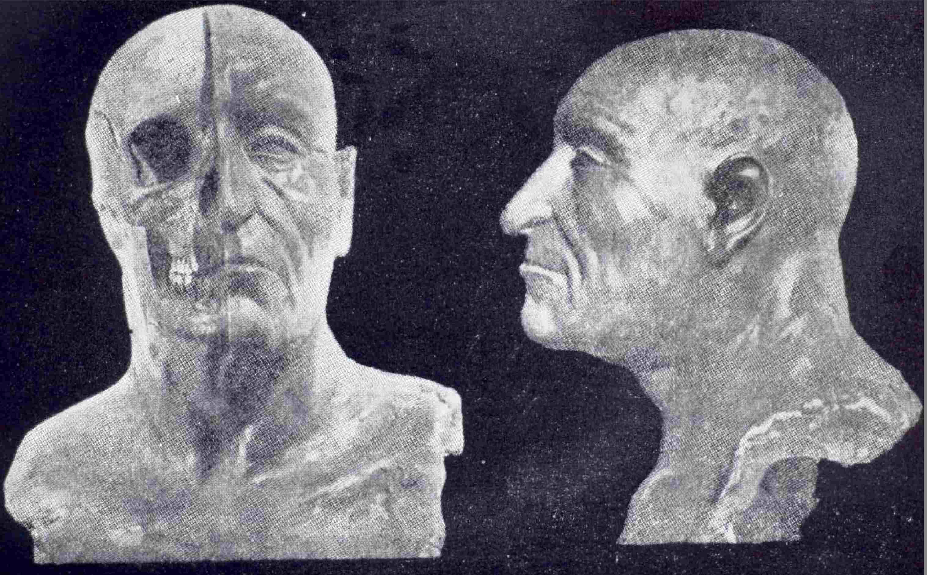 Facial reconstruction of Yaroslav the Wise made by Mikhail Gerasimov